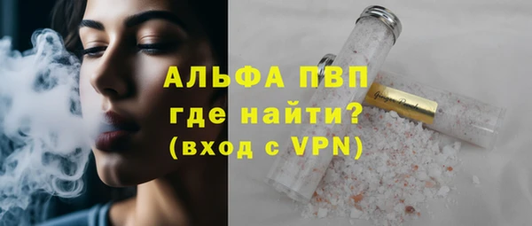 стаф Алексин