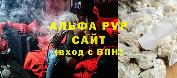 стаф Алексин