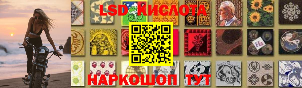 Галлюциногенные грибы Междуреченск