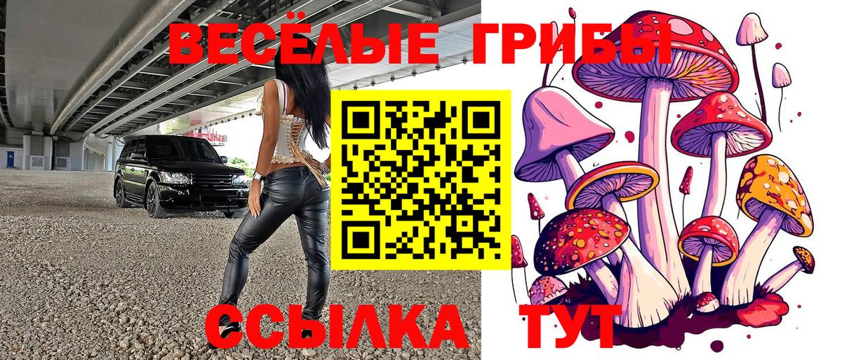 Междуреченск  Галлюциногенные грибы мухоморы  Вход с VPN 