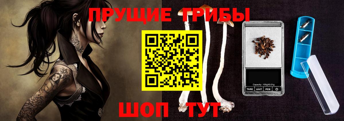 Псилоцибиновые грибы GOLDEN TEACHER Междуреченск